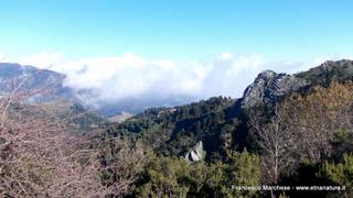 nte Scuderi-23-11-2014 09-48-11